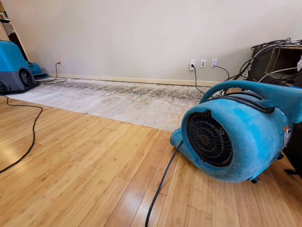 Professional Emergency Water Damage technician working in Oak Hill, NY
